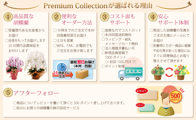 プレミアムコレクションが選ばれる理由
