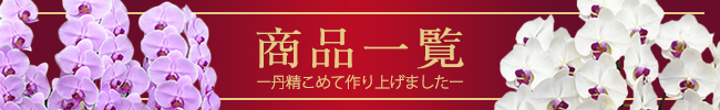 商品一覧